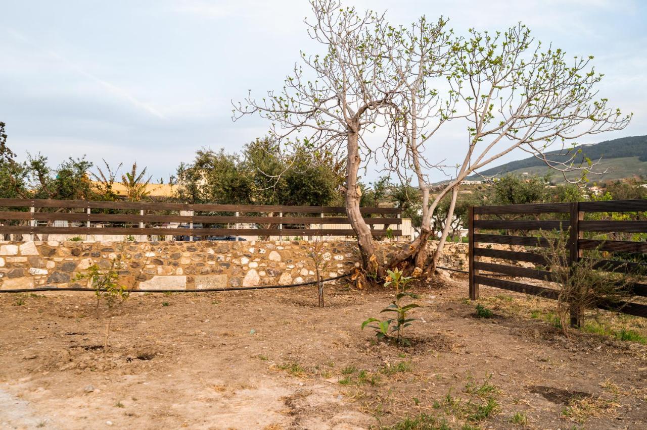 Paradisi Stone House Città di Kos Esterno foto