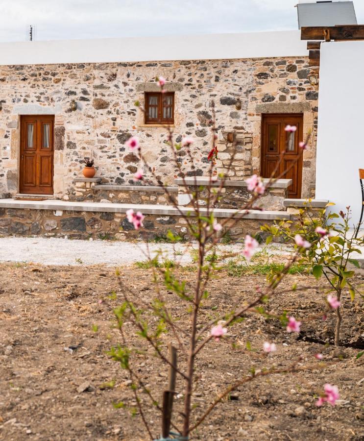 Paradisi Stone House Città di Kos Esterno foto