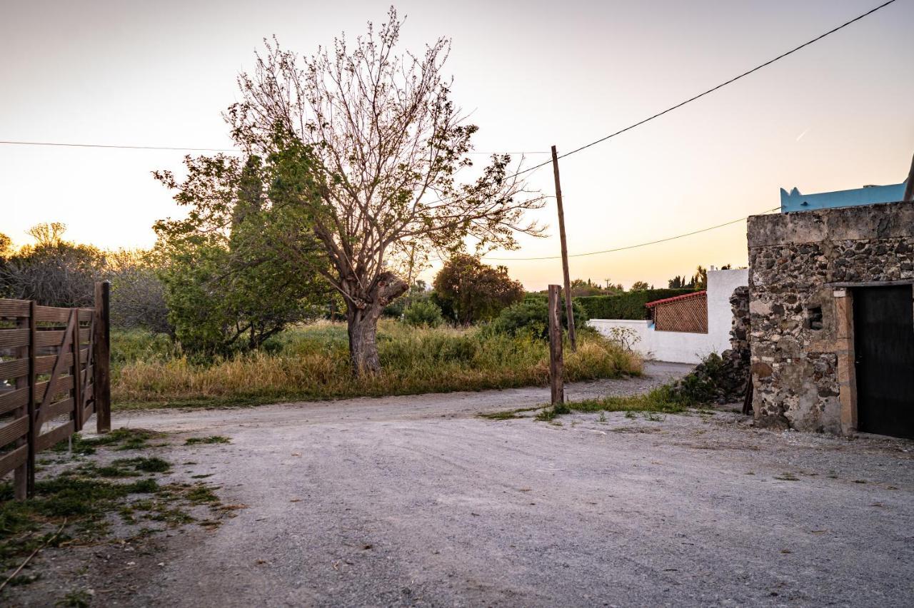 Paradisi Stone House Città di Kos Esterno foto