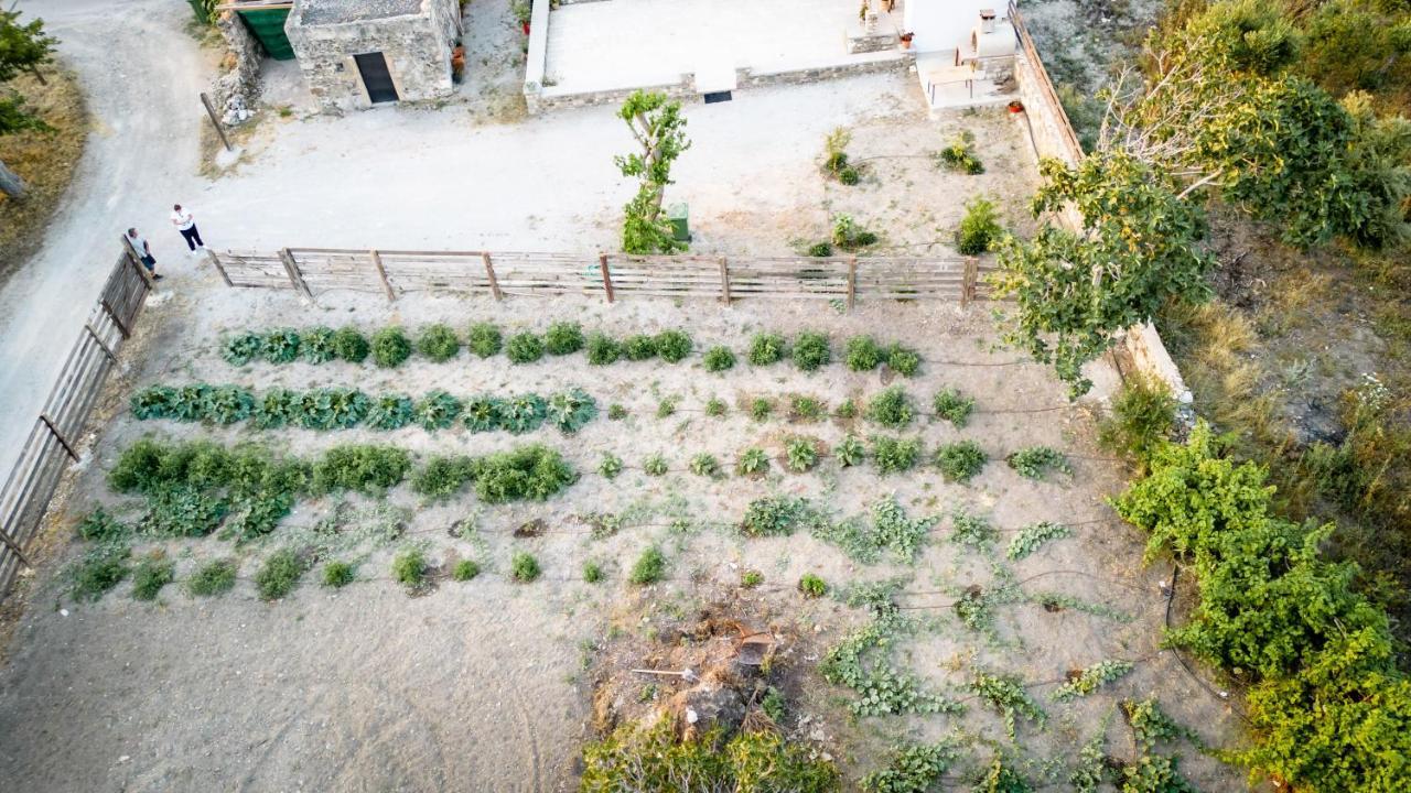 Paradisi Stone House Città di Kos Esterno foto